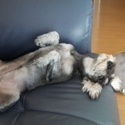 小梅画像