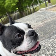カブト画像