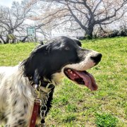 バズ画像