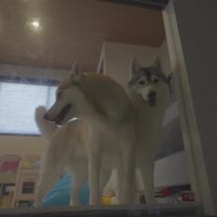 にこちゃんともんちゃん