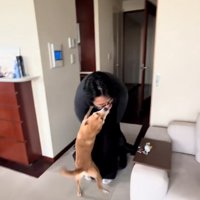 お兄ちゃんの顔に飛びつくごぅちゃん