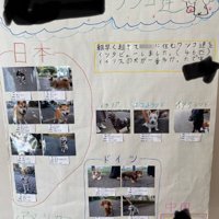 自由研究