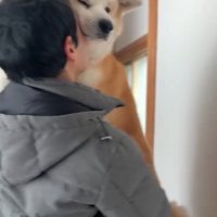 ご満悦のおはるちゃん