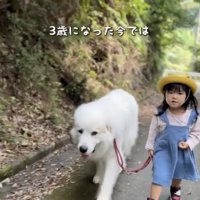 はじめての散歩から1年半後