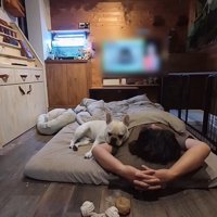 また戻ってきた大福くん