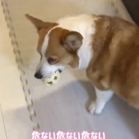 「楽しいぃぃ」