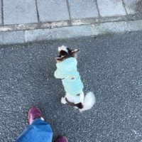 毎日通ってる！？