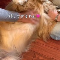 サンちゃんの熱烈歓迎7