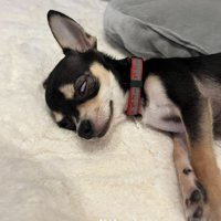 寝るときお決まりの白目