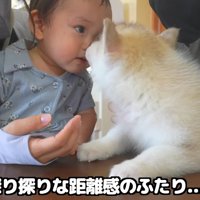 ふたりの初対面