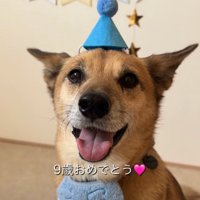 笑顔の犬
