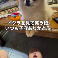 イクラちゃんと赤ちゃん