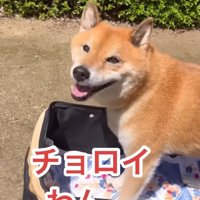 「作戦成功♪」とニッコリ