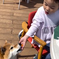 まずは腹ごしらえ！
