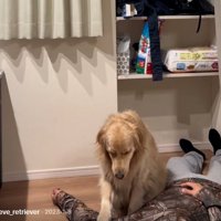 右手を乗せるイヴちゃん