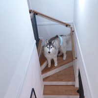 バディくんが置いてけぼりに