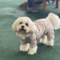 ニコニコ