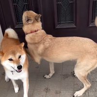 外で遊んでいた幸太郎くんと凛ちゃん9