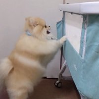 一生懸命な姿に愛を感じます