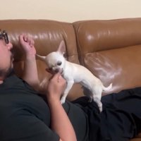 パパの指をかじる鱈ちゃん
