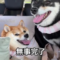 2匹とも頑張ったね！！