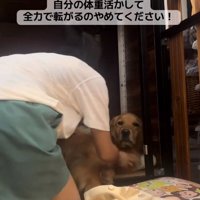 体重をかけるならちゃん