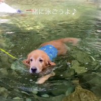「一緒に泳ごうよ～」