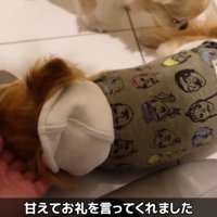 「ありがとう」を伝えてくれました♪