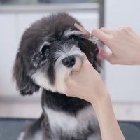 目がキラキラです