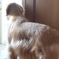オヤツに釣られてお風呂場へ