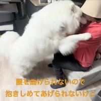 飼い主に顔を近づけるセブンちゃん