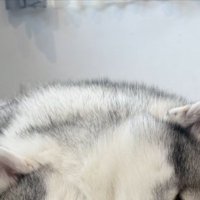 ぴったり
