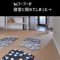 告げ口するモネちゃん2