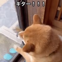「新聞屋さんだ！！」