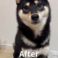 はるちゃんの成長5