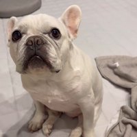 はなちゃんの体勢9