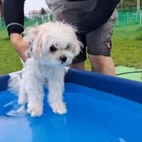 入水