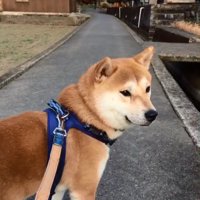 過ぎ去っていく電車