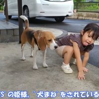 犬の真似をする姪っ子ちゃん