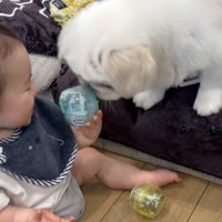 仲良く一緒に遊んでいます