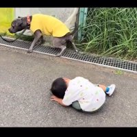 あおいくんを凝視するしおちゃん