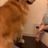 階段を登る男の子とラビーくん4