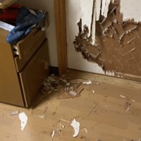 木くずが散らばった床