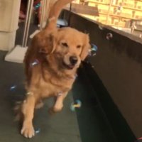 シャボン玉遊びを楽しむ♪