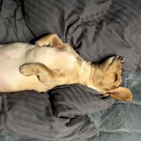 リラックスの極み…！