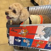 おでかけしたら、再び笑顔に！