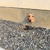 魅力的すぎる穴なのでした！