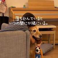 落ち込む息子さんときなこちゃん
