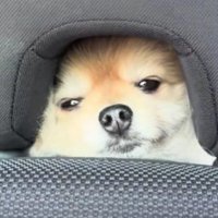 哀愁ただよう表情にクスッ