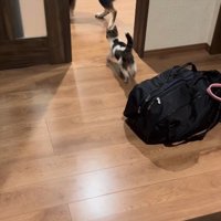 運命的な出会い